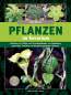 Preview: Pflanzen im Terrarium